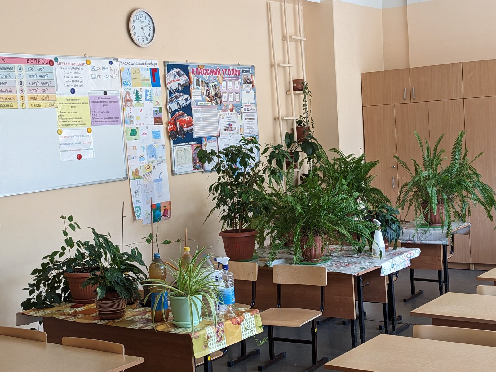 California fraud exposure - Investigator Exposes $170M Fraud in California