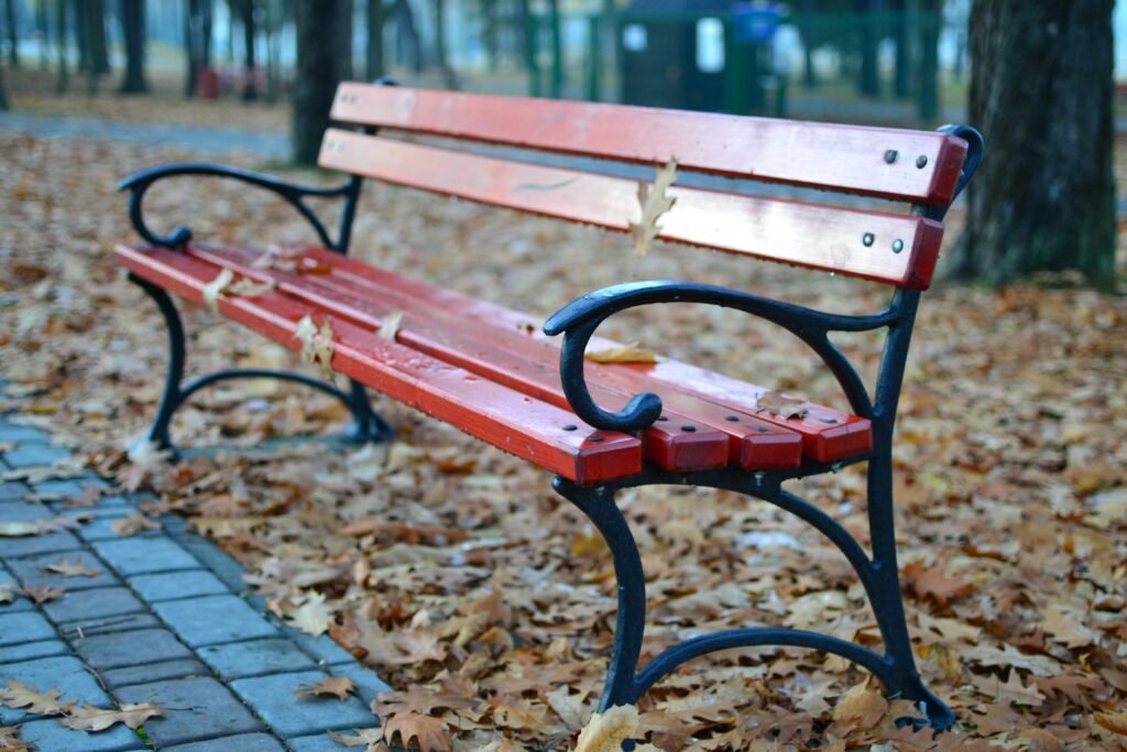 bench2