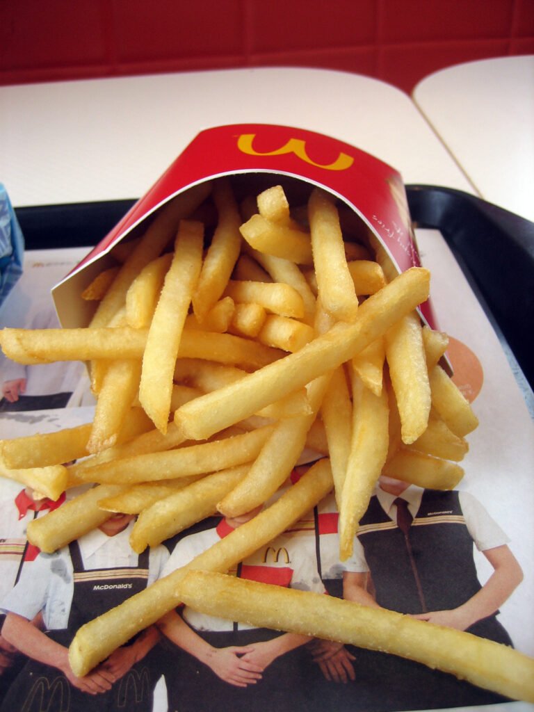 fries2