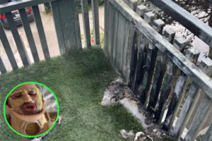 A Popular Amazon Product Left a Former Navy Swimmer With Devastating Burns